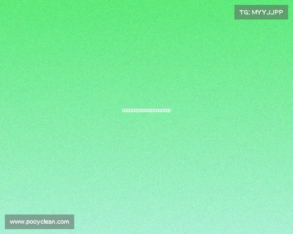 墨西哥瑞典是什么赛事—墨西哥瑞典球迷庆祝